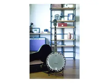 Epiphone MB-250