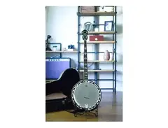 Epiphone MB-250 main image