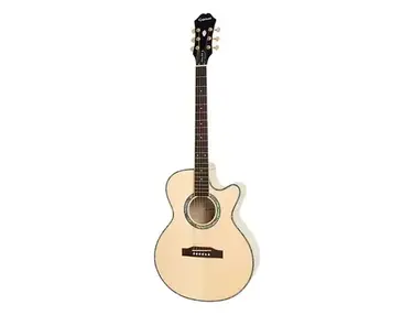 Epiphone Performer SE