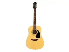 Epiphone PR-100 main image