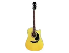 Epiphone PR-100C main image
