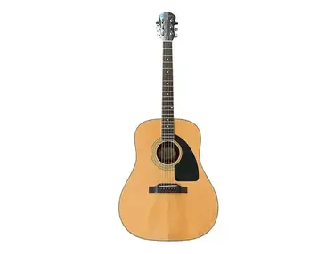 Epiphone PR-300