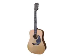 Epiphone PR-500 main image