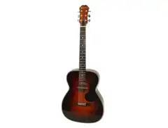 Epiphone PR-600 main image