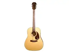 Epiphone PR-650 main image