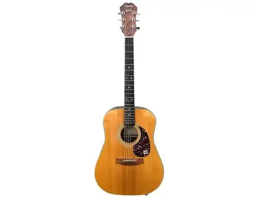 Epiphone PR-700