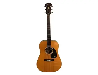 Epiphone PR-745