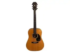 Epiphone PR-745 main image