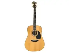 Epiphone PR-755S main image