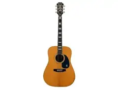 Epiphone PR-765 main image