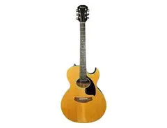 Epiphone PR-795AE main image
