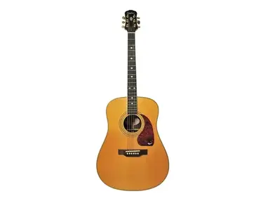 Epiphone PR-800S