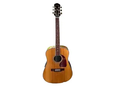 Epiphone PR-800SE