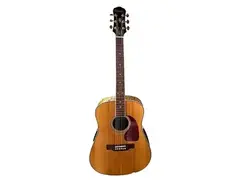 Epiphone PR-800SE main image