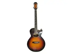 Epiphone PR-850 main image
