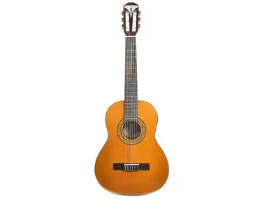 Epiphone PRO-1 Classic 3/4