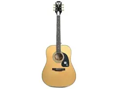 Epiphone PRO-1 Plus main image