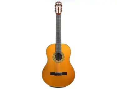 Epiphone PRO-1 Spanish Classic