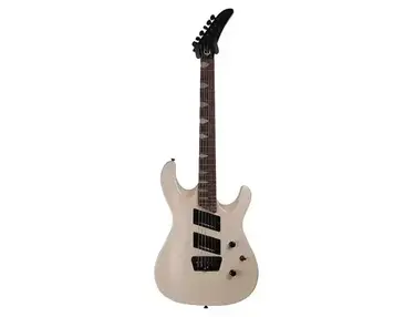 Epiphone Pro-2