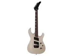 Epiphone Pro-2 main image