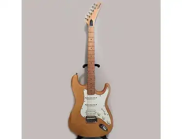 Epiphone S-310 Custom