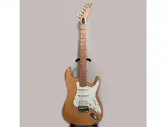 Epiphone S-310 Custom main image