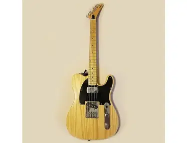 Epiphone T-310 Custom
