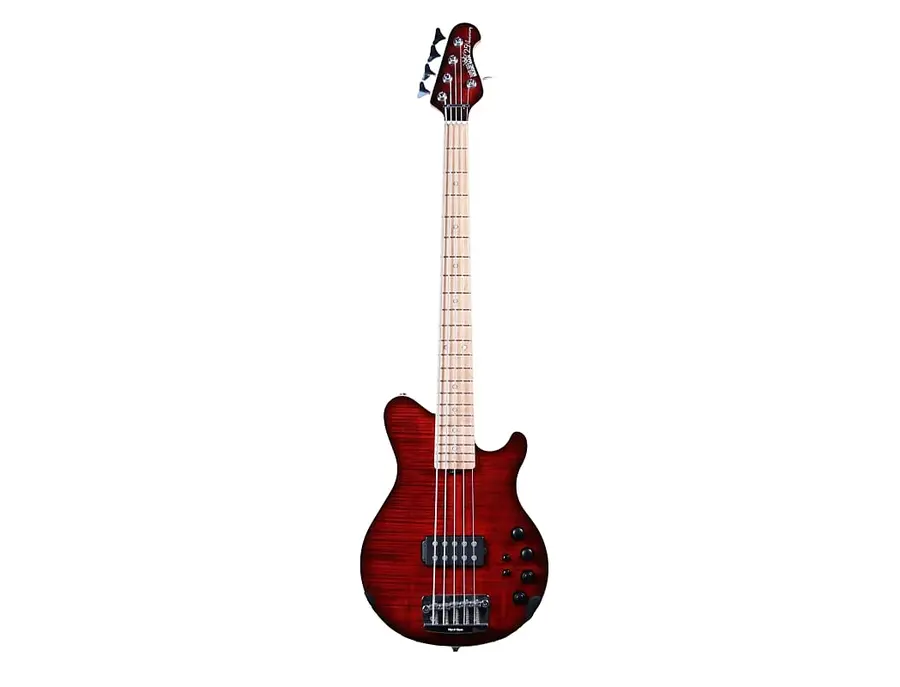 Ernie Ball Music Man 25th Anniversary Reflex Bass 5 H - What To