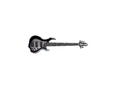 ESP E-II DY-5 Doris Yeh Signature main image