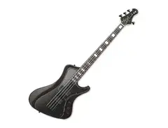ESP E-II Stream FM main image