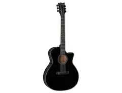 ESP LTD A-300E main image