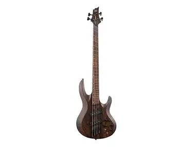 ESP LTD B-1004 Multi-Scale
