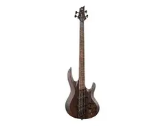 ESP LTD B-1004 Multi-Scale main image