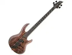 ESP LTD B-1004SE Multi-Scale main image