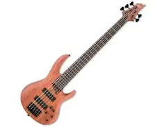 ESP LTD B-1005SE main image