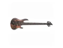 ESP LTD B-1005SE Multi-Scale
