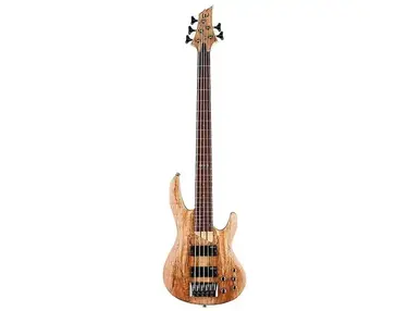 ESP LTD B-205SM Fretless