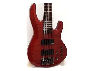ESP LTD B-255