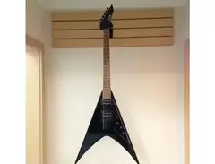 ESP LTD DV-200 Dave Mustaine Signature main image