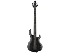 ESP LTD F-1004 main image