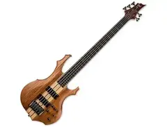 ESP LTD F-5E Mahogany main image