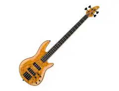 ESP LTD H-1004SE main image