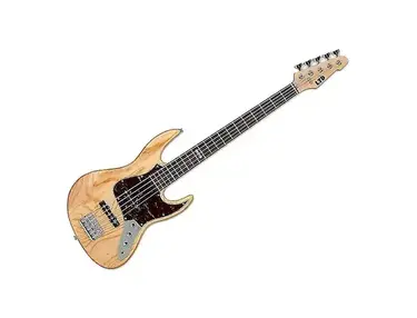 ESP LTD J-205 Ash