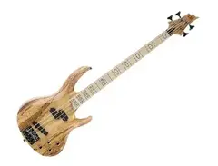 ESP LTD RB-1004BM main image