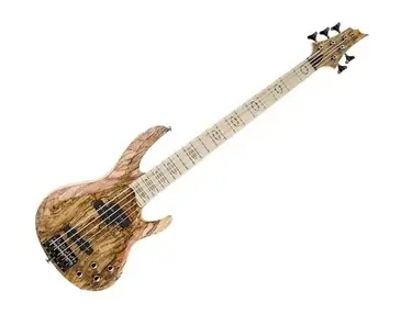 ESP VIPER BASS Rimi II - What To Know & Where To Buy | Equipboard