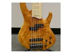 ESP LTD RB-1006BM main image