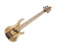 ESP LTD RB-1006SM main image