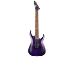 ESP LTD SH-207 Brian Welch Signature main image