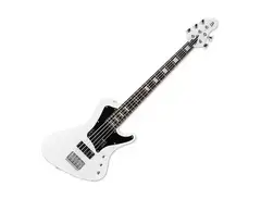 ESP LTD Stream-205 main image