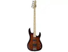 ESP LTD Surveyor-400 main image